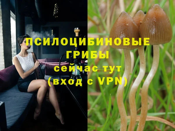 мяу мяу мука Краснослободск