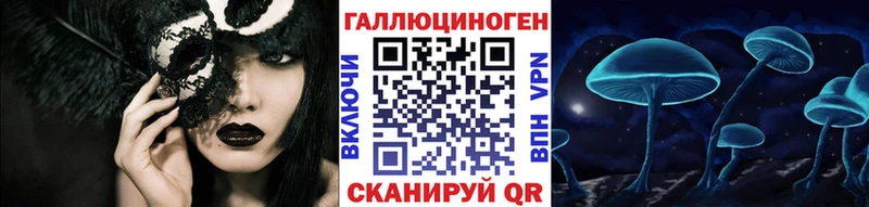 Купить  Каргополь  Галлюциногенные грибы Magic Shrooms 